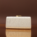 Rectangle Elegant  Acrylic Clutch Ivory | With crossbody Chain strap