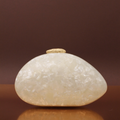 Ice shell Acrylic clutch with Sling