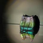 Glory Crystal Potli Green